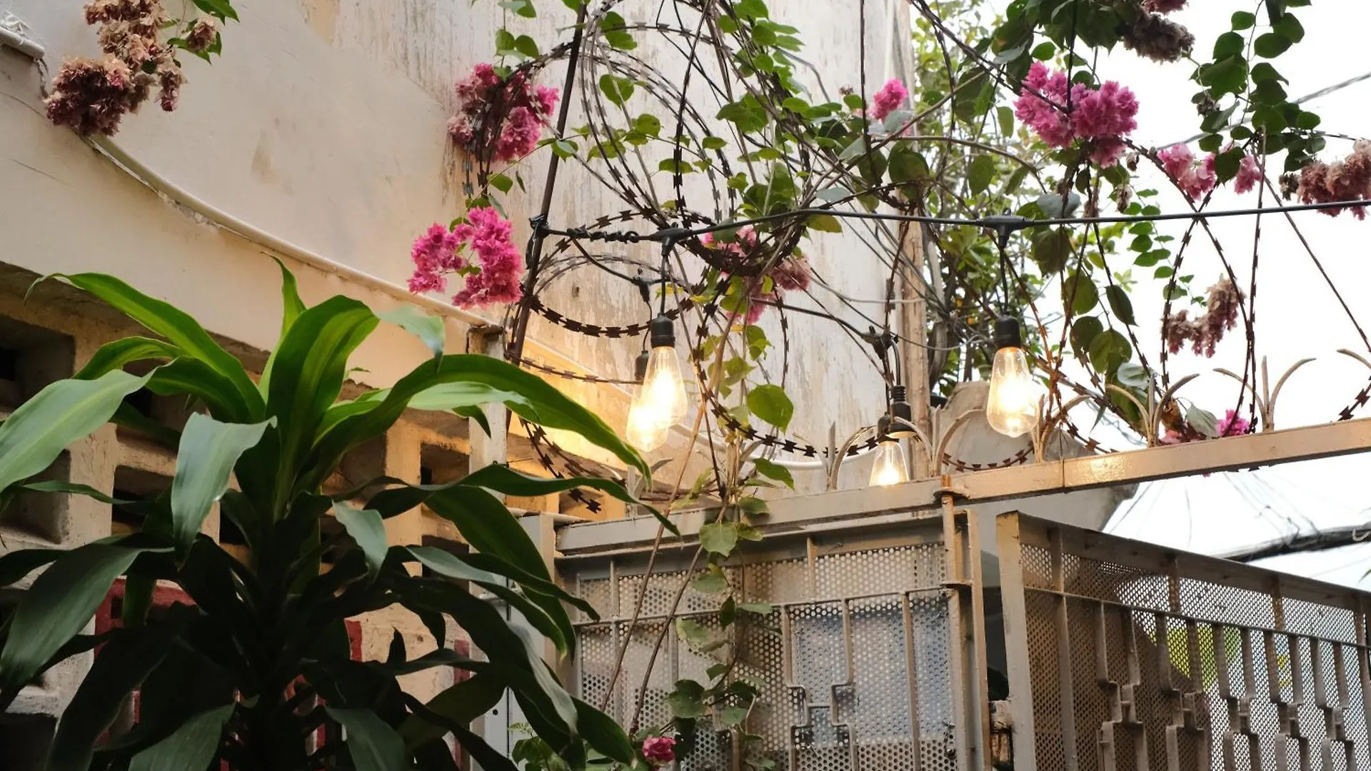 הו צ'י מין סיטי A Little Saigon Hotel - Bui Vien Walking Street מלון דירות